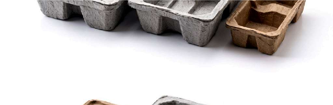 Molded Pulp